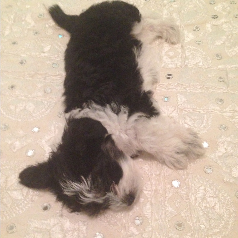 Meet your Posher, Tammy