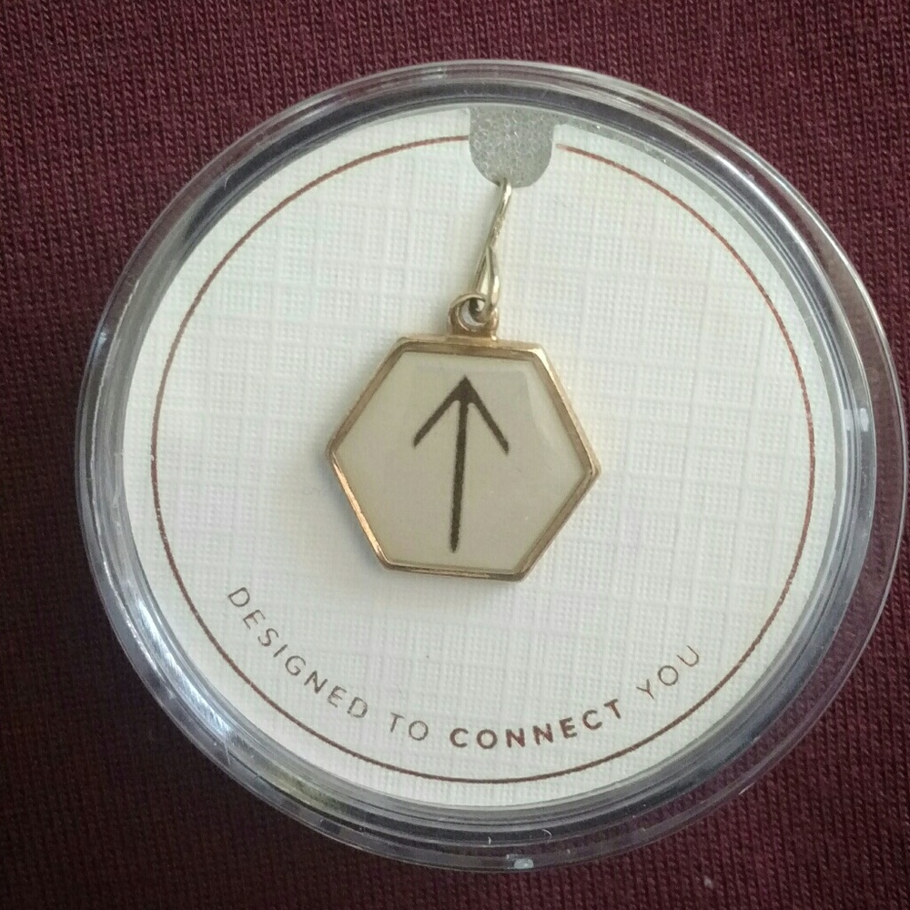 * Alex and Ani * Teiwaz necklace charm