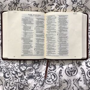 ESV Journaling Bible