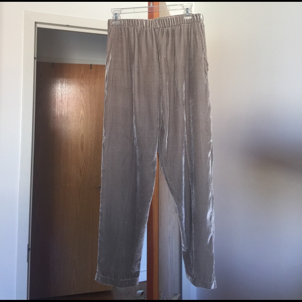 Velvet High Waisted Pants