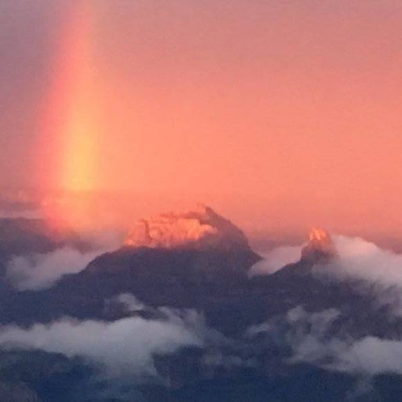 Meet your Posher, Mimi - Picture 1 of 1