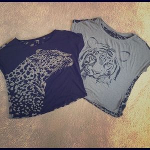 Express Lion and Cheetah Tshirts