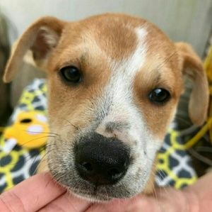 Meet your Posher, Lucia