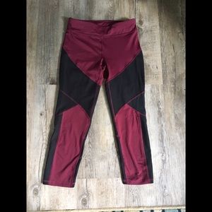 Maroon & Black Champion Crops
