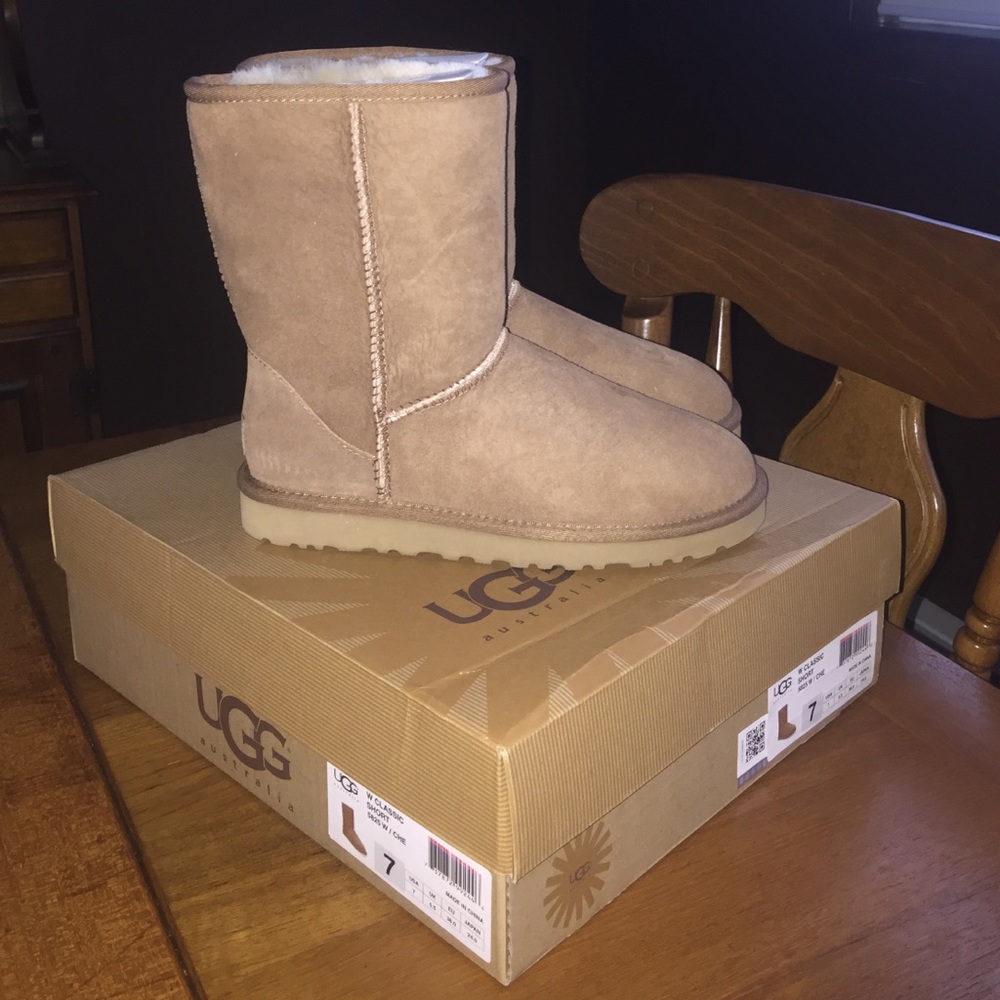 Chestnut uggs