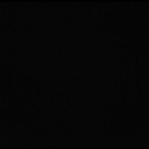 Meet your Posher, Tatum