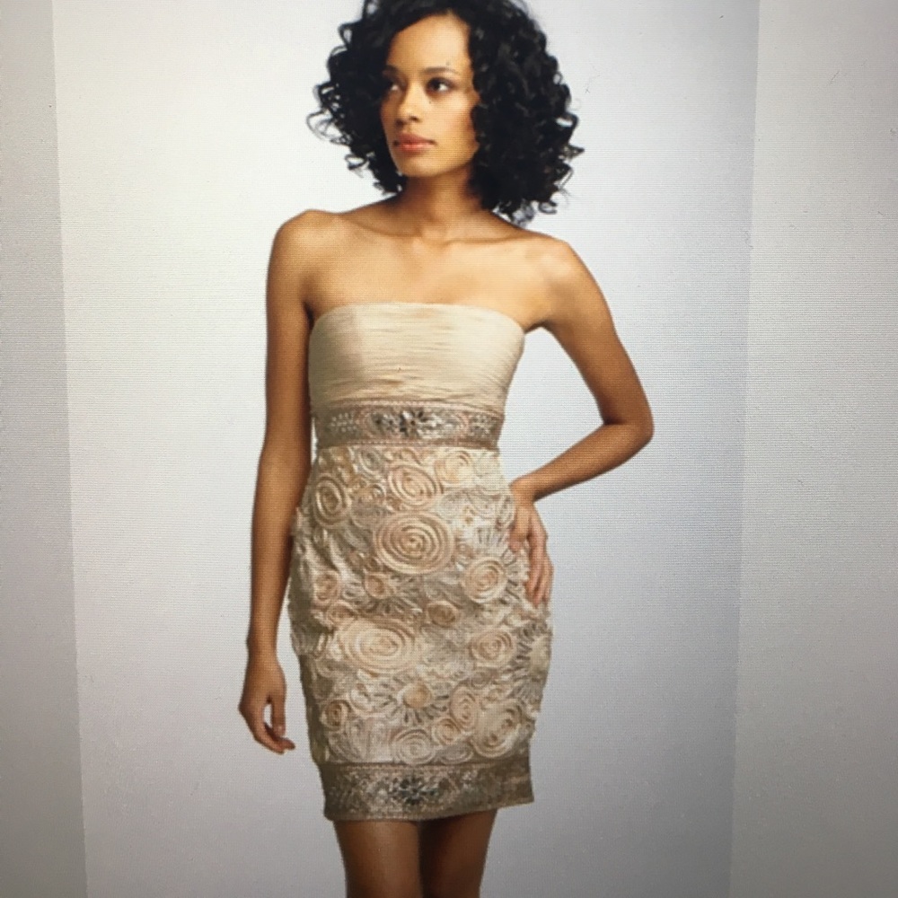 Sue Wong beaded strapless dress