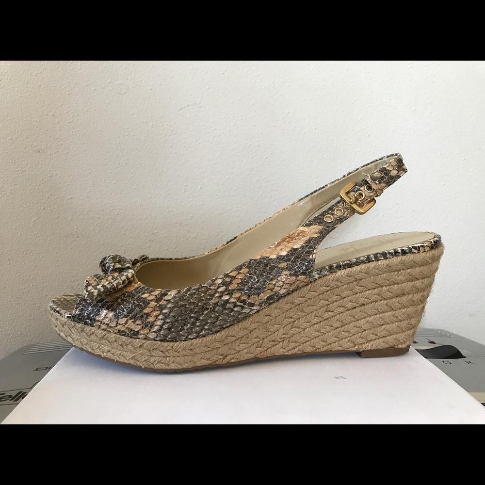Platforms - Picture 3 of 3
