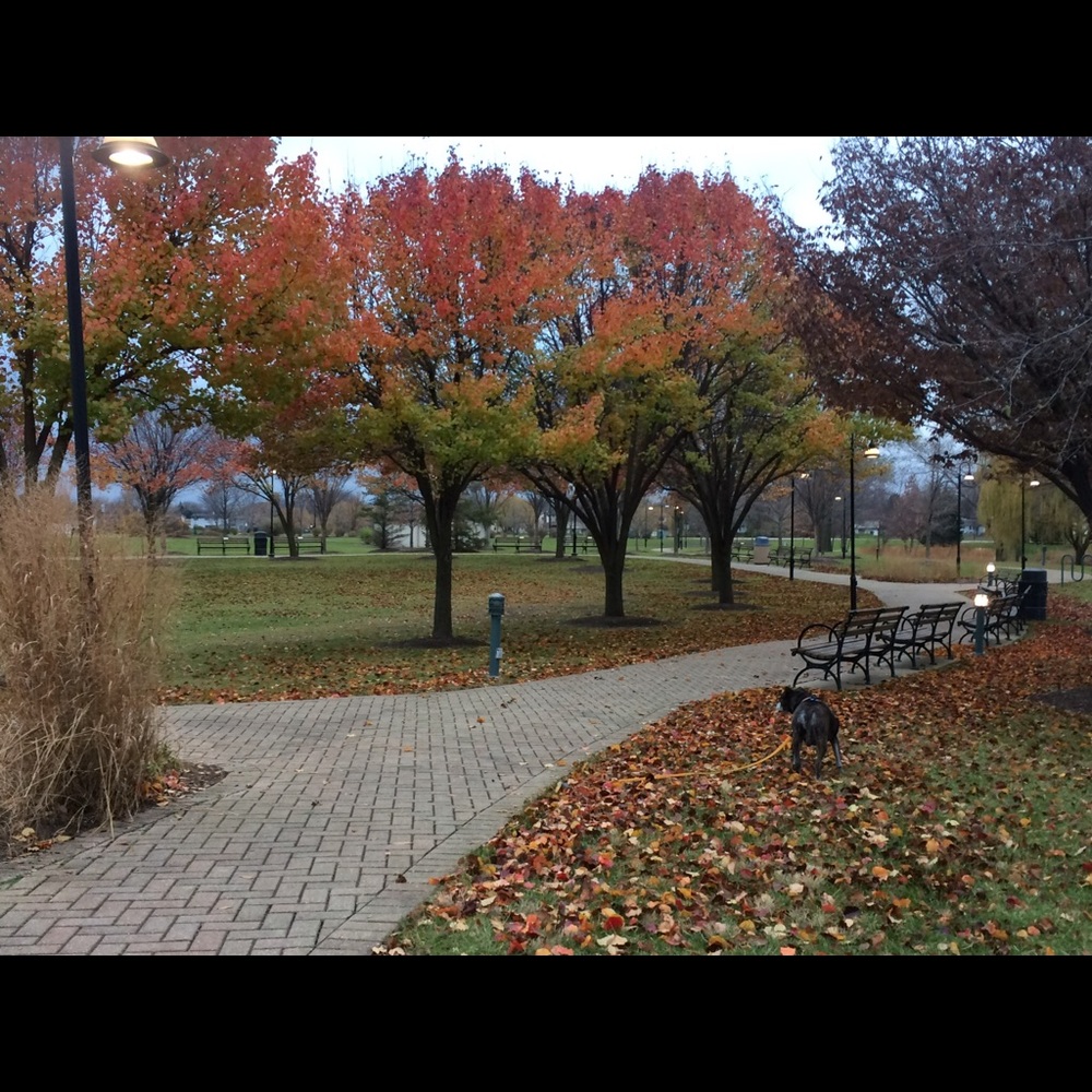 Meet your Posher, Penny