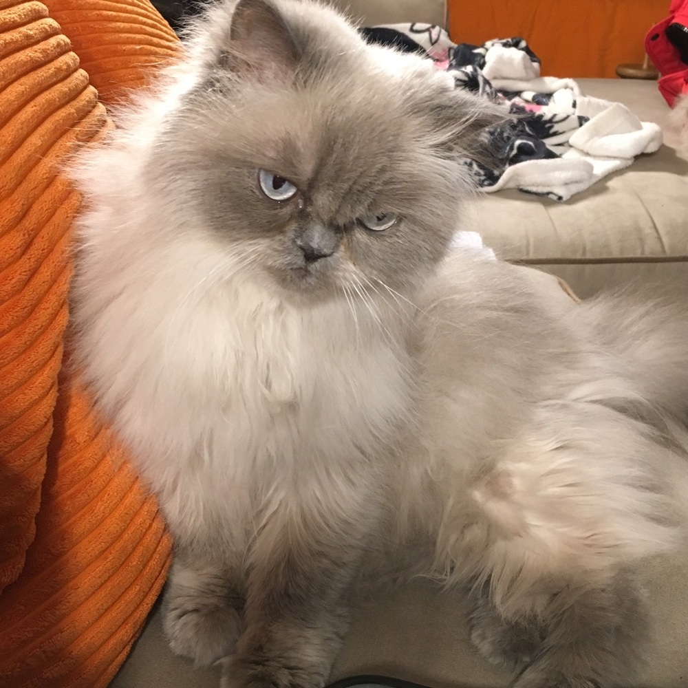 Reasonable offers welcome!