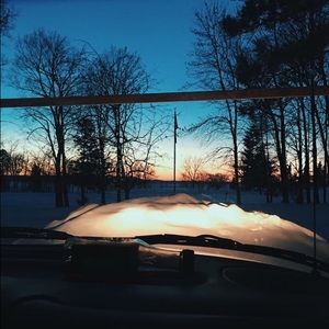 Meet your Posher, Sasha