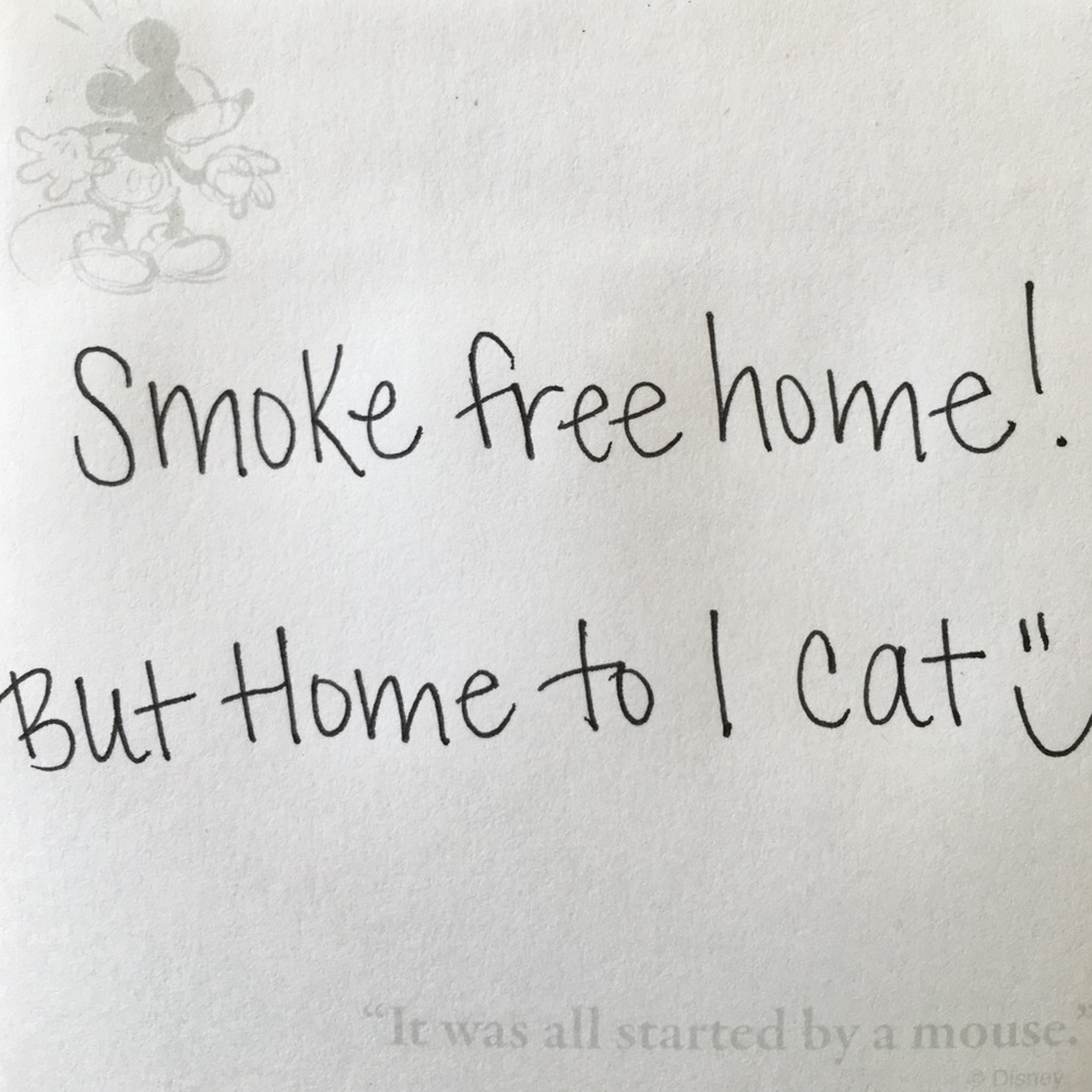 Smoke Free Home, But Home to 1 Cat