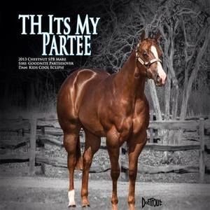 Meet your Posher, Connie