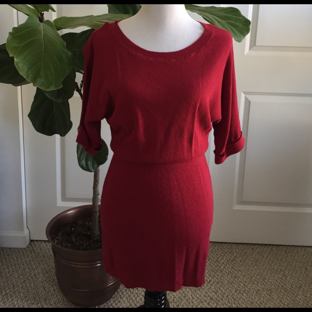 [EXPRESS] Sweater Dresss