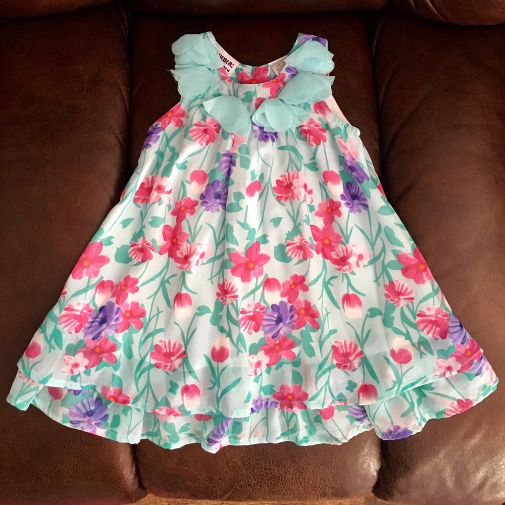 18 Month Aqua Floral Dress