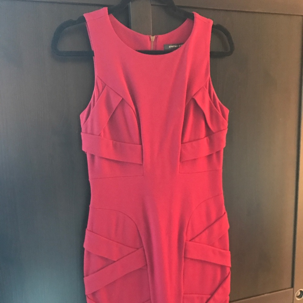 Cynthia Steefe dress