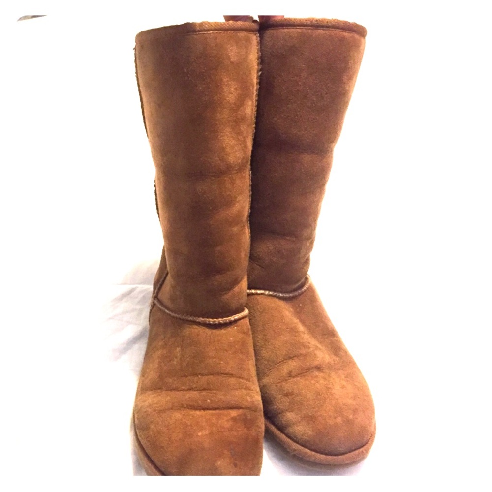 Tall Chestnut Uggs