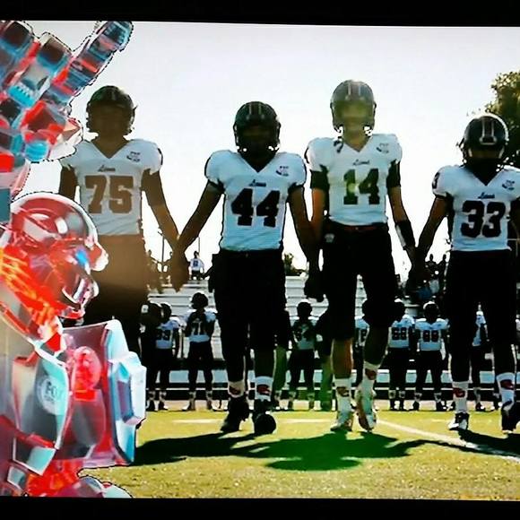 Meet your Posher, Joey - Picture 1 of 1