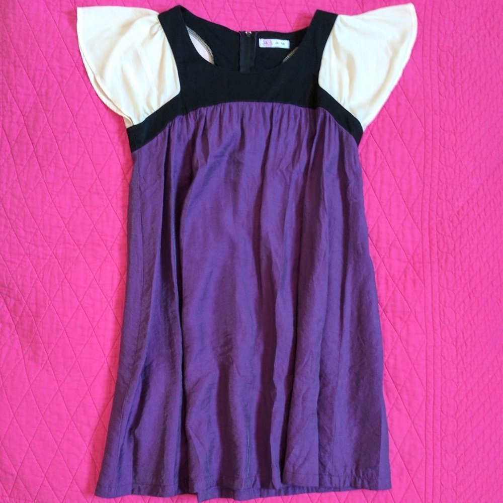 Purple Shift Dress