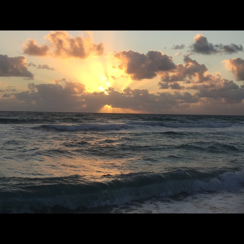 Meet your Posher, Tanya