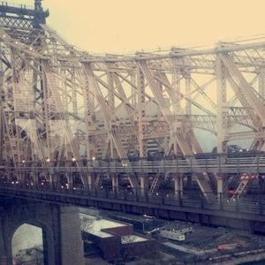 Meet your Posher, Grace