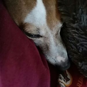 Meet your Posher, Linda