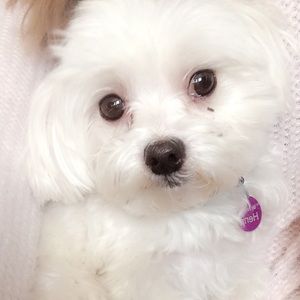 Meet your Posher, Sheri