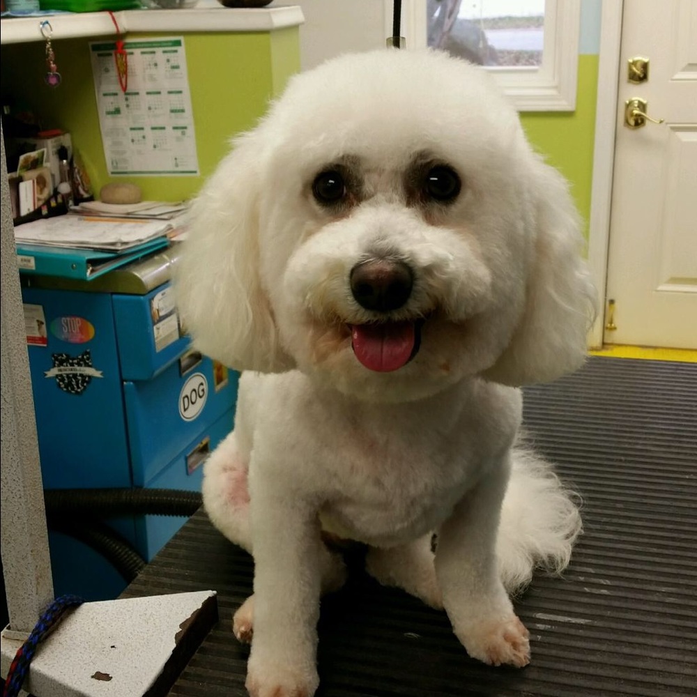 Meet your Posher, Monica