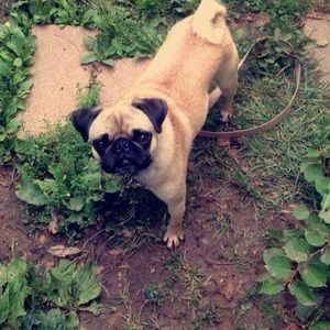 Meet your Posher, Steven