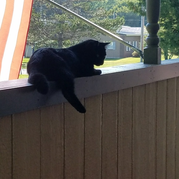 Meet your Posher, Pam - Picture 2 of 4