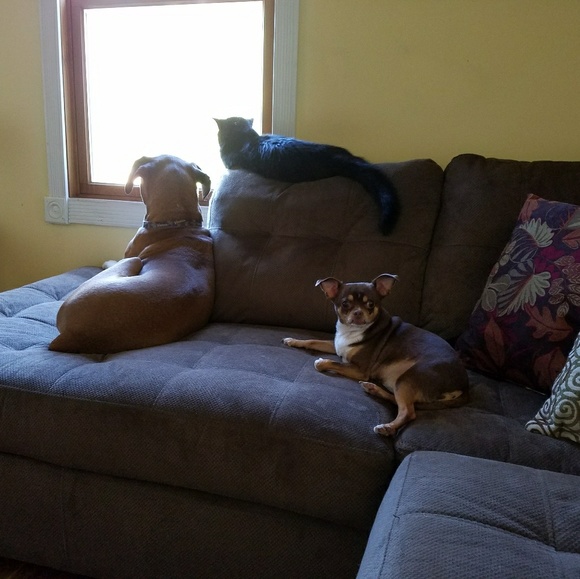 Meet your Posher, Pam - Picture 4 of 4