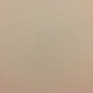 Meet your Posher, Katrina