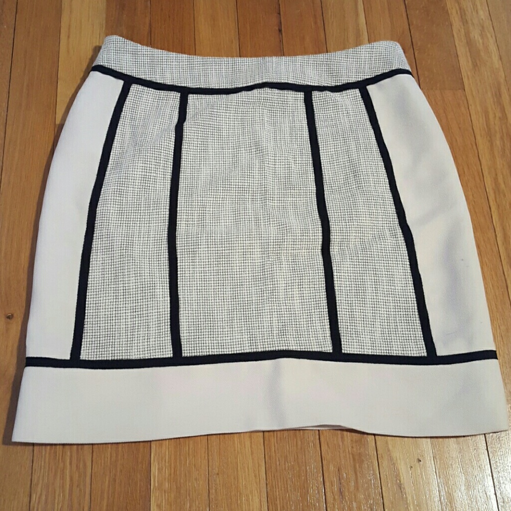 Ann Taylor skirt