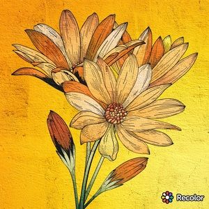 Meet your Posher, Kara