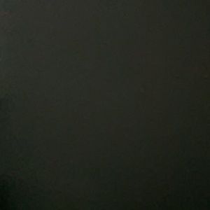 Meet your Posher, Shauna