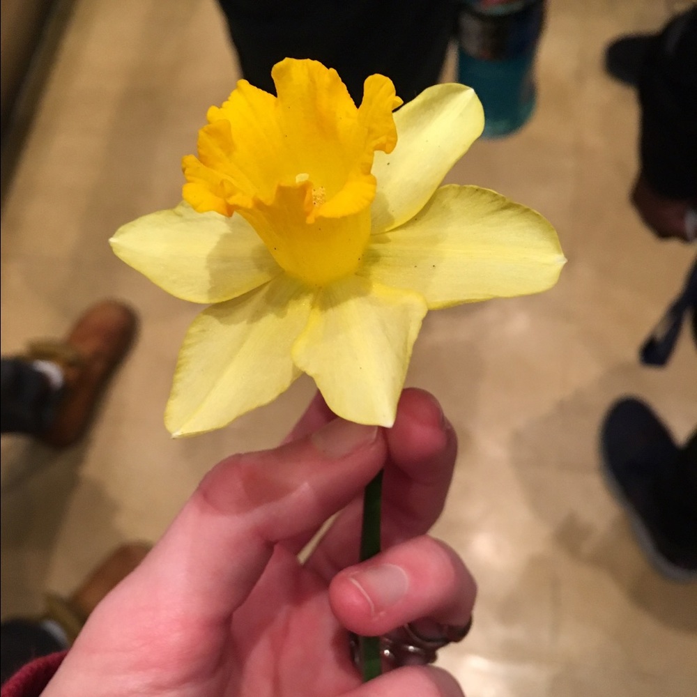 Meet your Posher, Addysin