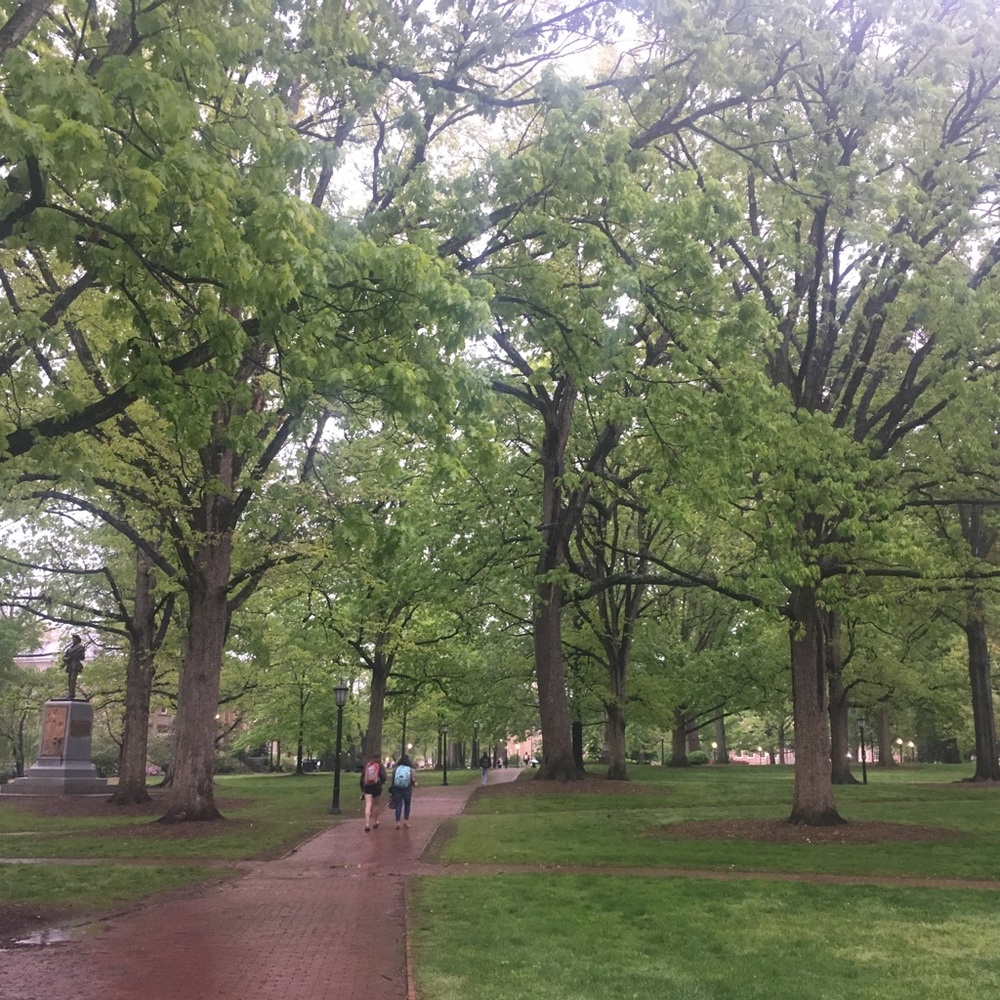 Meet your Posher, Courtney