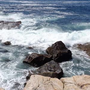 Meet your Posher, Zoe