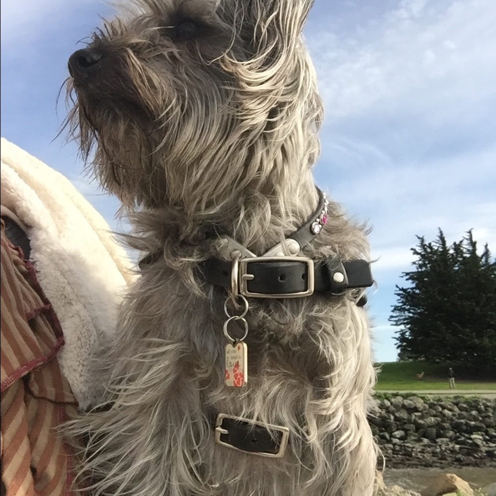 Meet your Posher, Greta