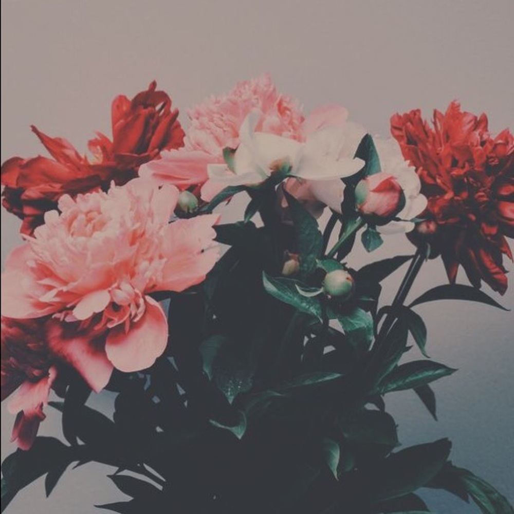 Meet your Posher, Odalis