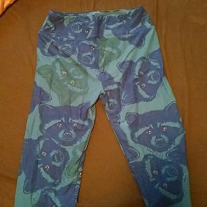 Lularoe Raccoon Leggings OS