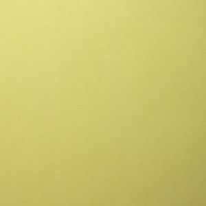 Meet your Posher, Carissa