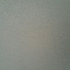 Meet your Posher, Dominic