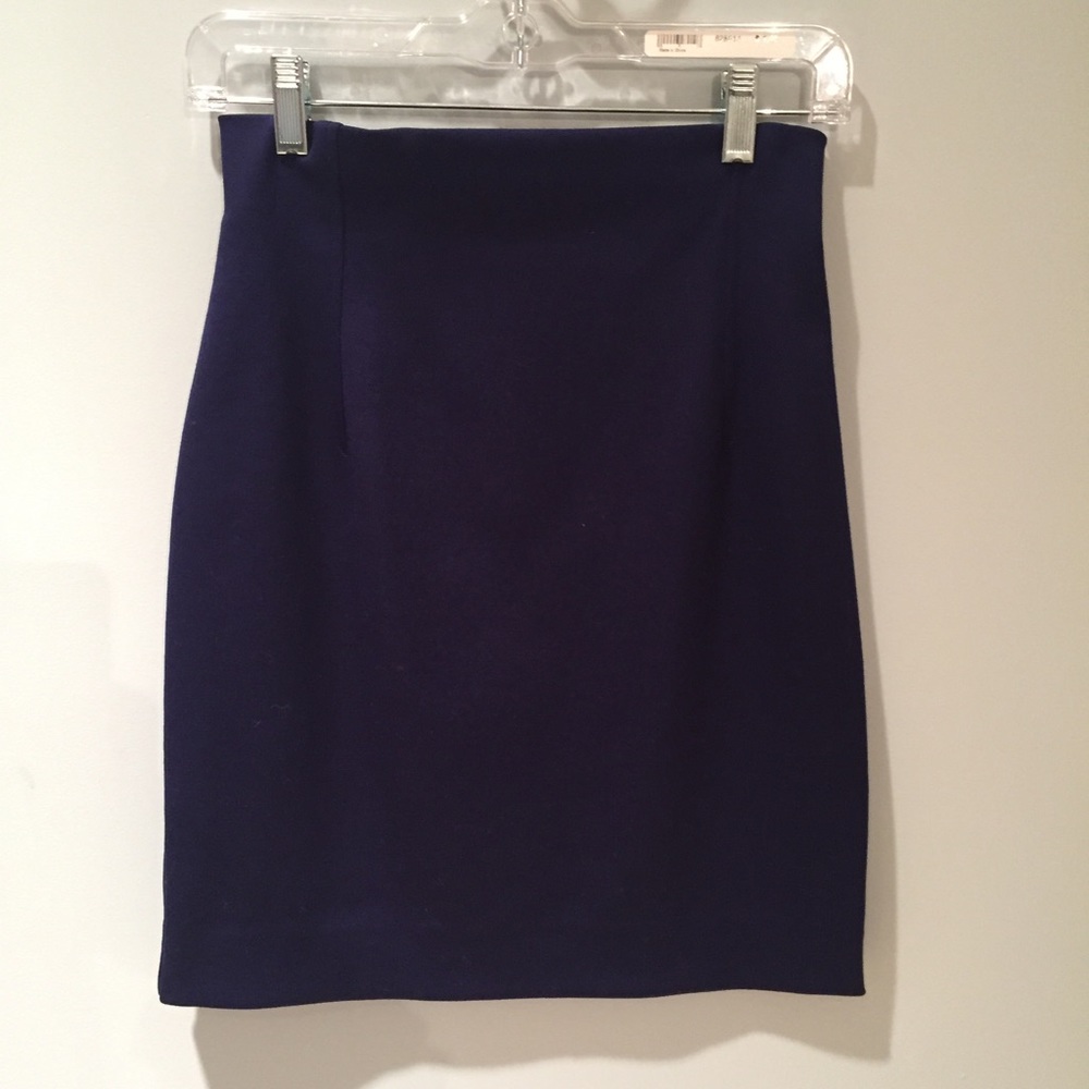 Regina Rubens Navy Skirt