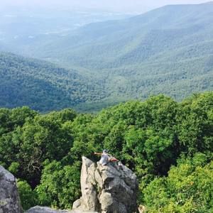 Meet your Posher, Alexander