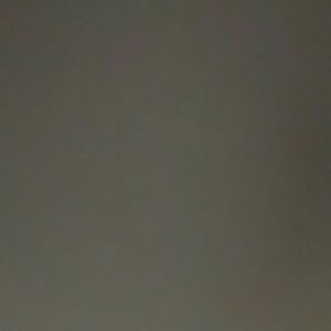 Meet your Posher, Rosa