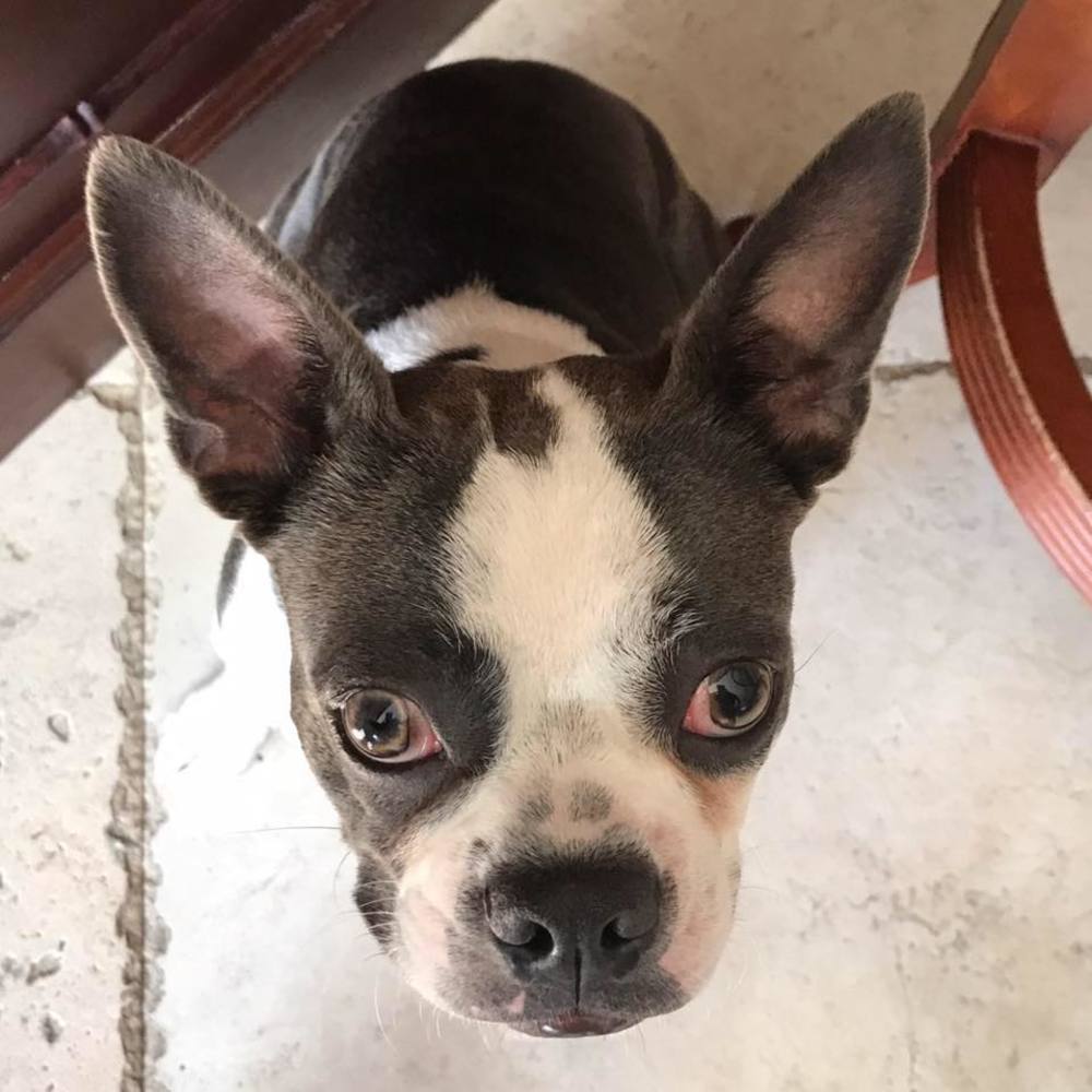 Meet your Posher, Elizabeth