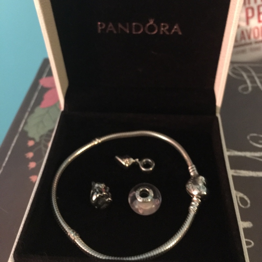 Pandora charms and pandora bracelet
