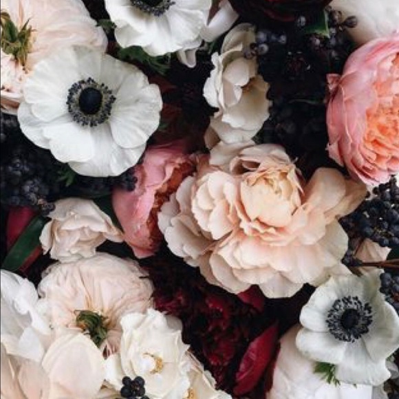 Meet your Posher, Katie - Picture 1 of 1