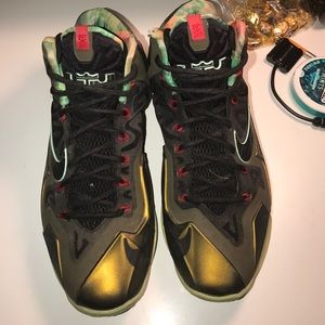 Size 8 "King's Pride" Lebron 11